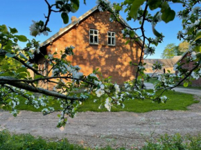 Store Stensig (landlig idyl ved Frederikshavn)